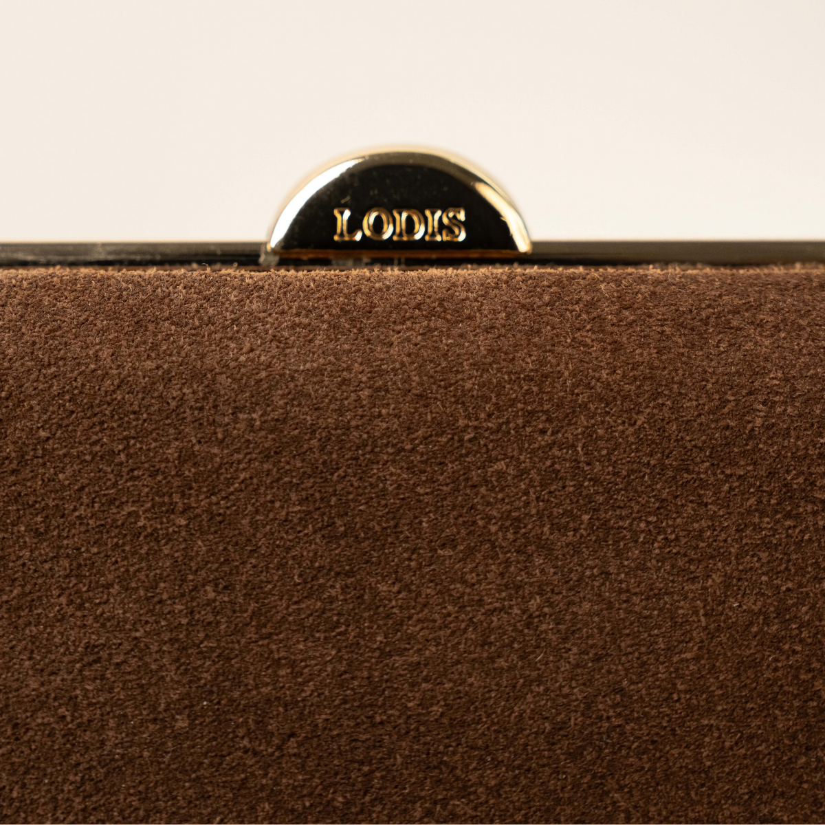 CELARA FRAME CLUTCH - BROWN